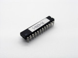 P1 Custom Logic Chip